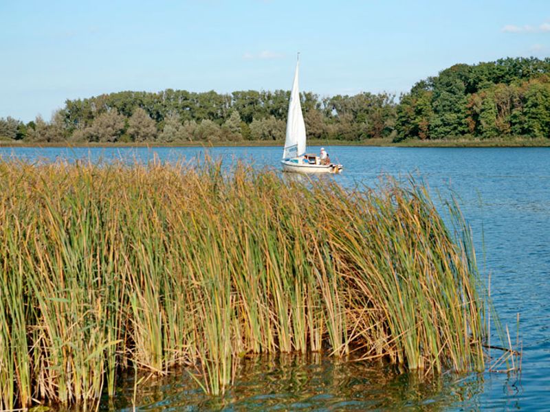 Segelboot auf dem See