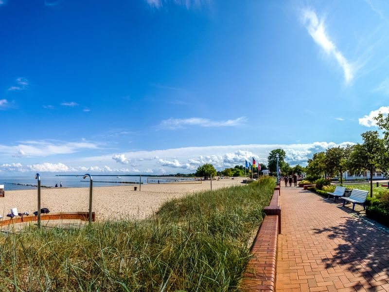 Strand in Ueckermünde | © Sina Ettmer - stock.adobe.com