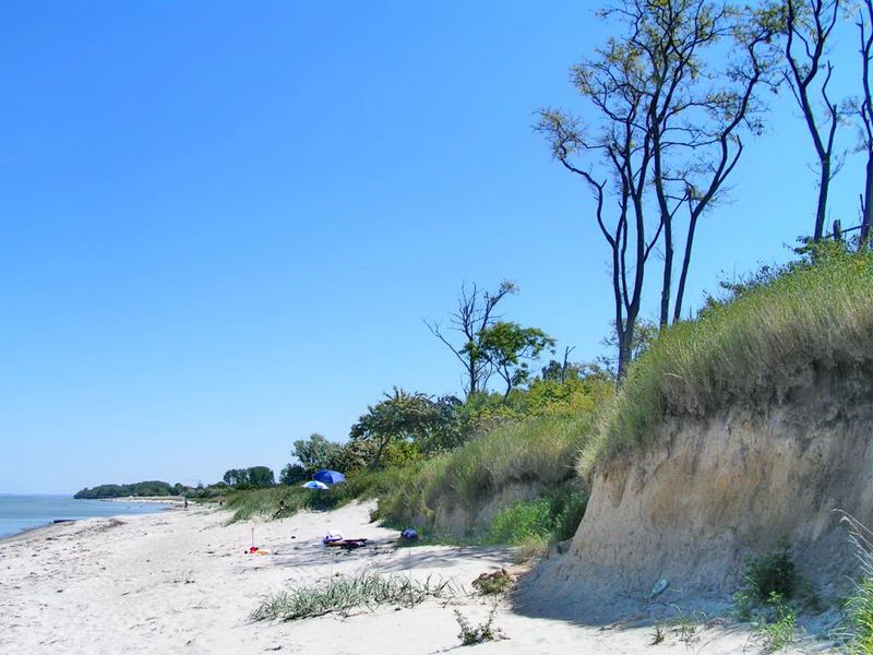 Insel Poel Naturstrand | © mvp.de