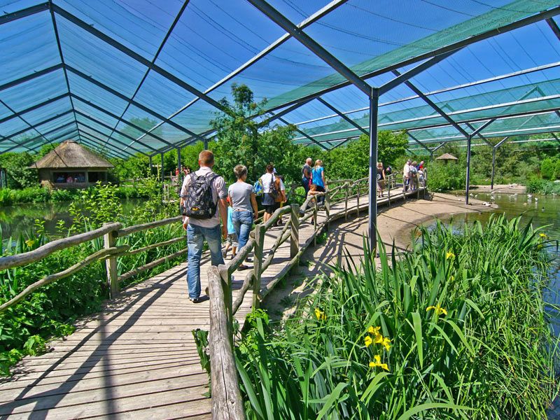 © Vogelpark Marlow gGmbH | © Vogelpark Marlow gGmbH