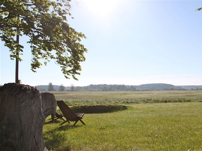 Pfingsten und "KunstOffen" im Müritz-Nationalpark