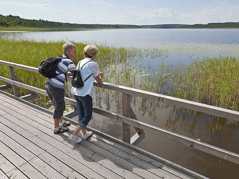 Wanderangebot vom Landhaus Rügeband