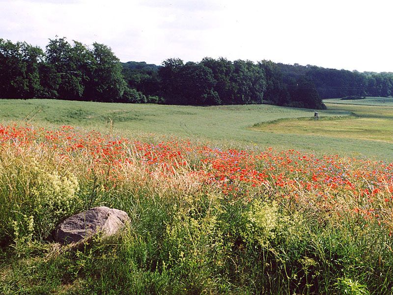 Eiszeitroute von Feldberg nach Fürstenberg