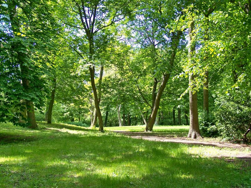 Park am Schloss Kittendorf | © mvp.de - JP