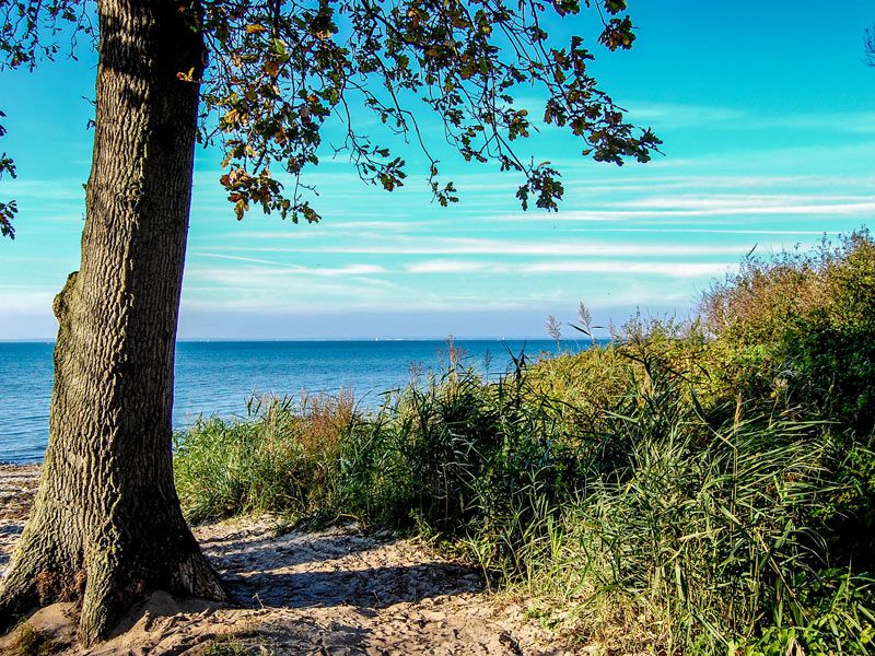 Rosenhagen | hanseat - stock.adobe.com