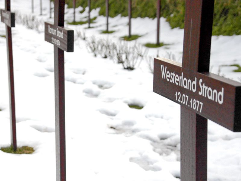 Friedhof der Heimatlosen | Matthias Krüttgen - stock.adobe.com