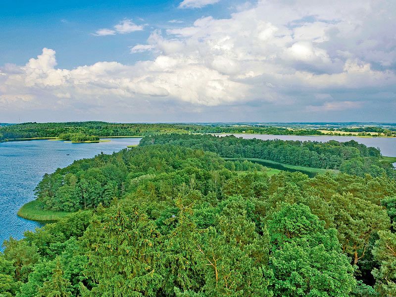 Naturpark Nossentiner/Schwinzer Heide
