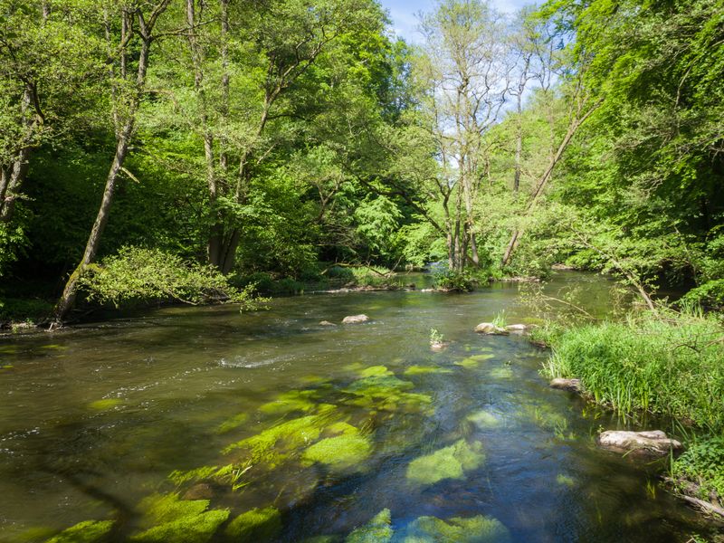 Warnow bei Sternberg | © vidom - stock.adobe.com