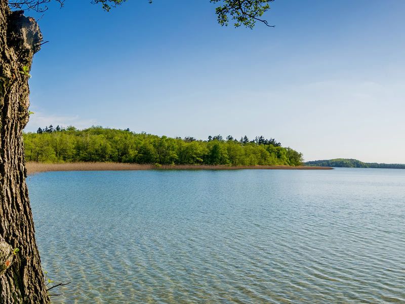 Feldberger Seenlandschaft | kentauros - stock.adobe.com