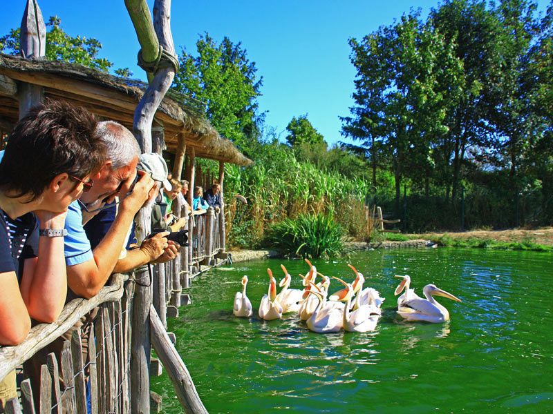 © Vogelpark Marlow gGmbH | © Vogelpark Marlow gGmbH