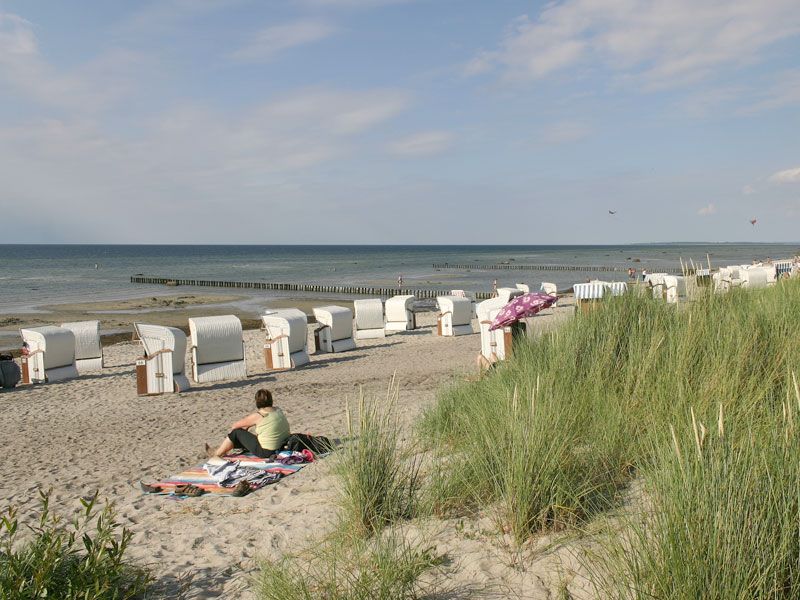 Strand Schwarzer Busch