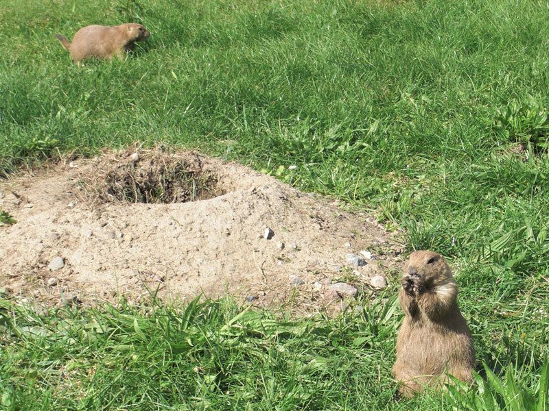 Tierpark Wismar