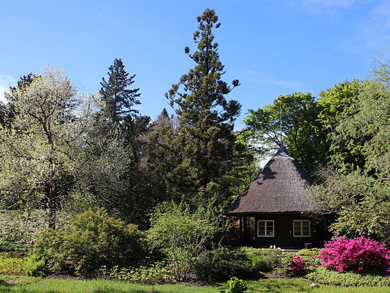 © Botanischer Garten Rostock