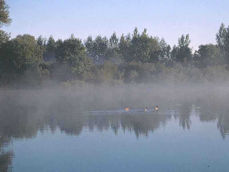Naturschutzgebiet Binsenbrink im Teterower See