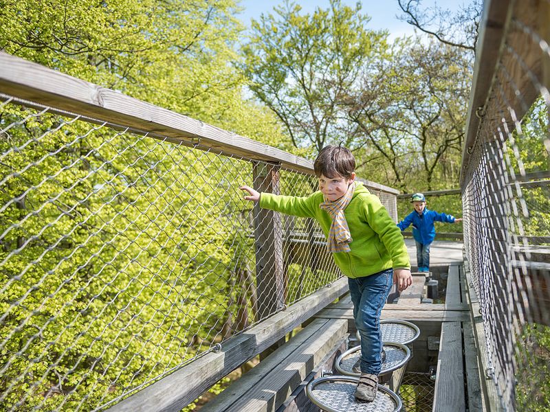 © Erlebnis Akademie AG/Naturerbe Zentrum Rügen