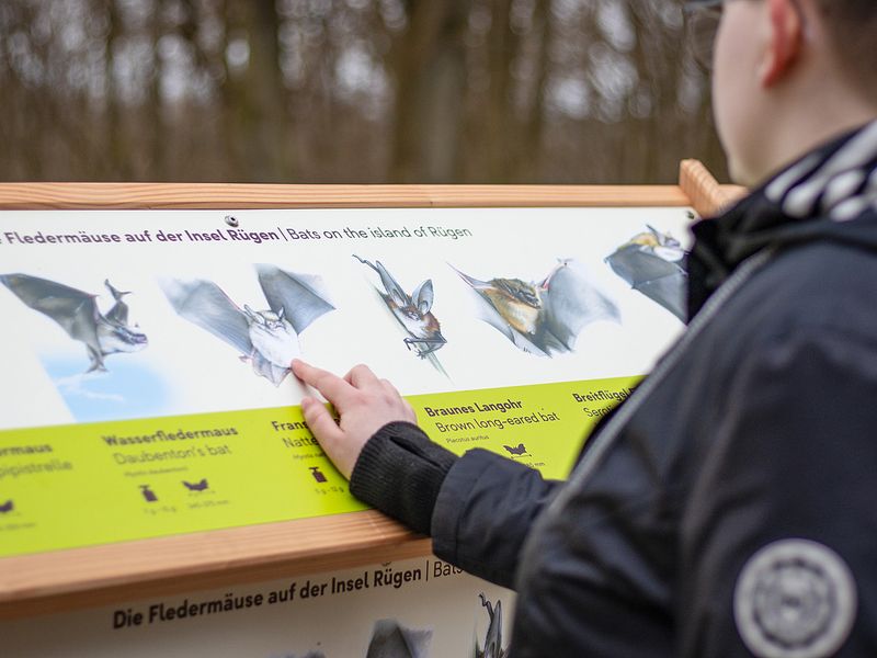 © Erlebnis Akademie AG/Naturerbe Zentrum Rügen