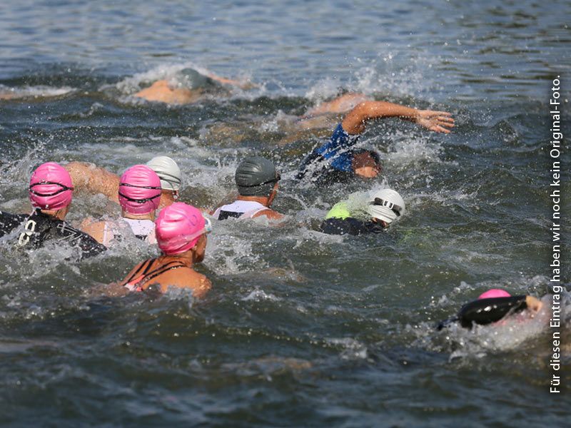 Müritzschwimmen
