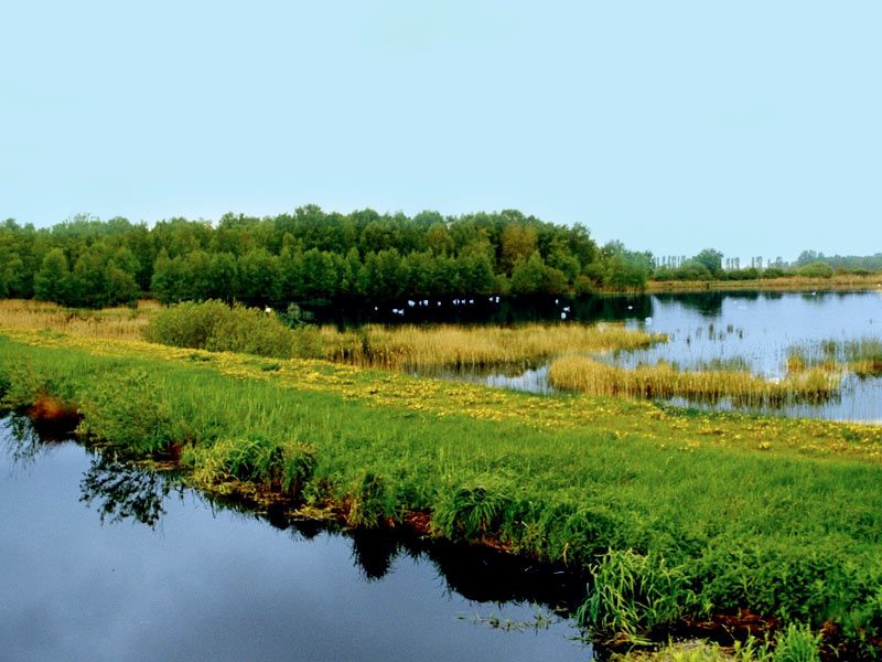 Aussichtspunkt Dütschower Brücke