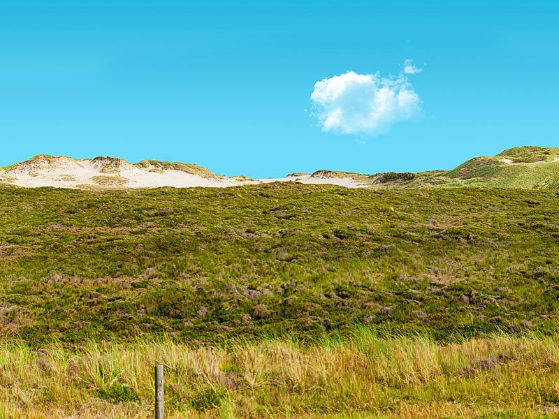 Wanderdüne Listland | cladori - stock.adobe.com