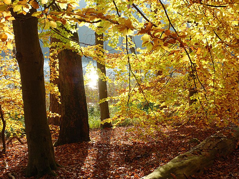 Schweingartensee | © U. Meßner