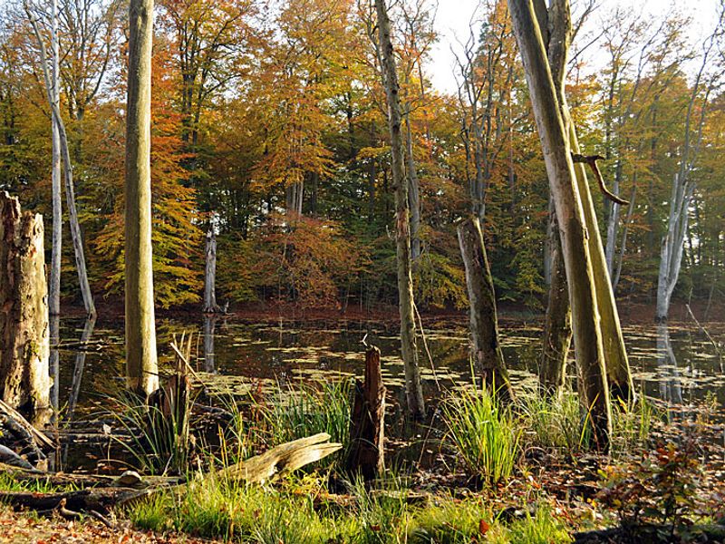 Schweingartensee am Welterbe | © B. Lüthi Herrmann