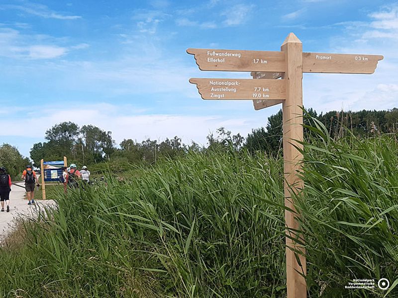 Radweg Zingst | © Jens Bassek