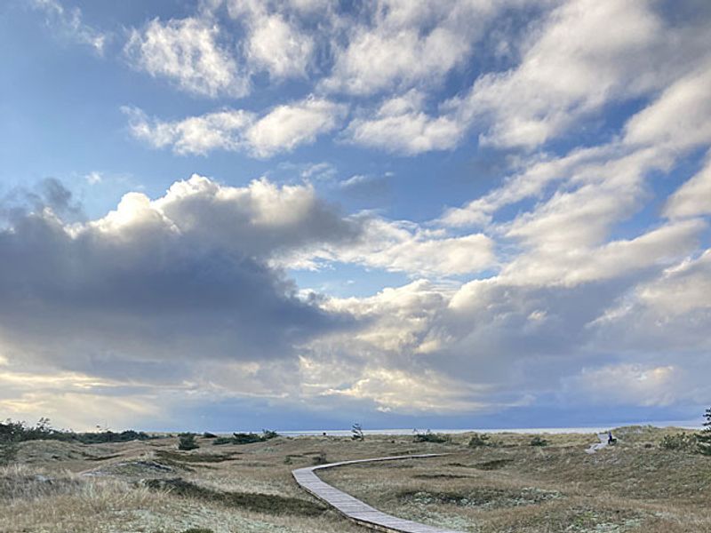 Rundwanderweg Darßer Ort | © Lilia Reisig