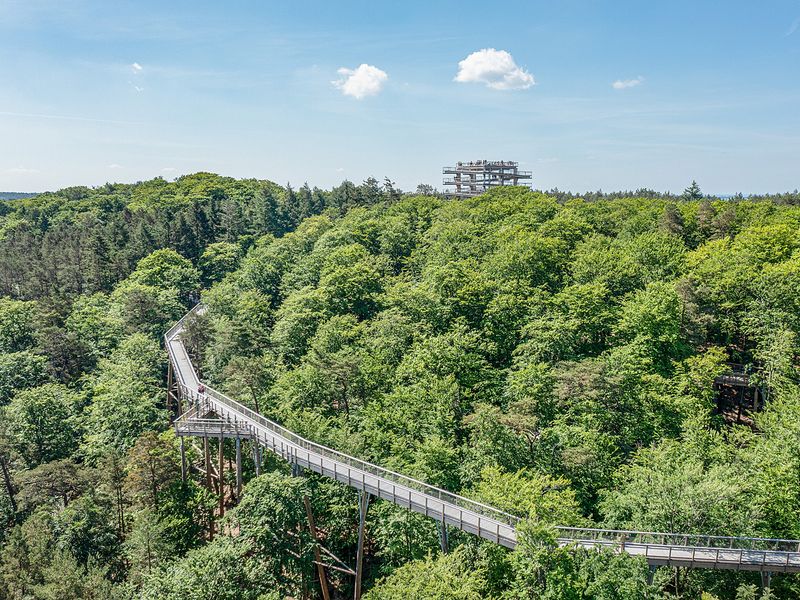 Luftbild im Sommer | © Erlebnis Akademie AG/Baumwipfelpfad Usedom