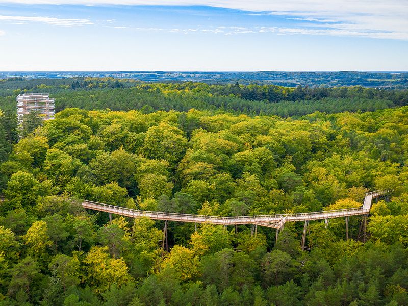 Luftbild im Herbst | © Erlebnis Akademie AG/Baumwipfelpfad Usedom