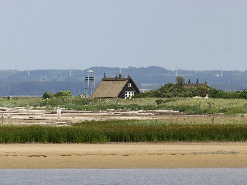 Naturschutzgebiet Langenwerder