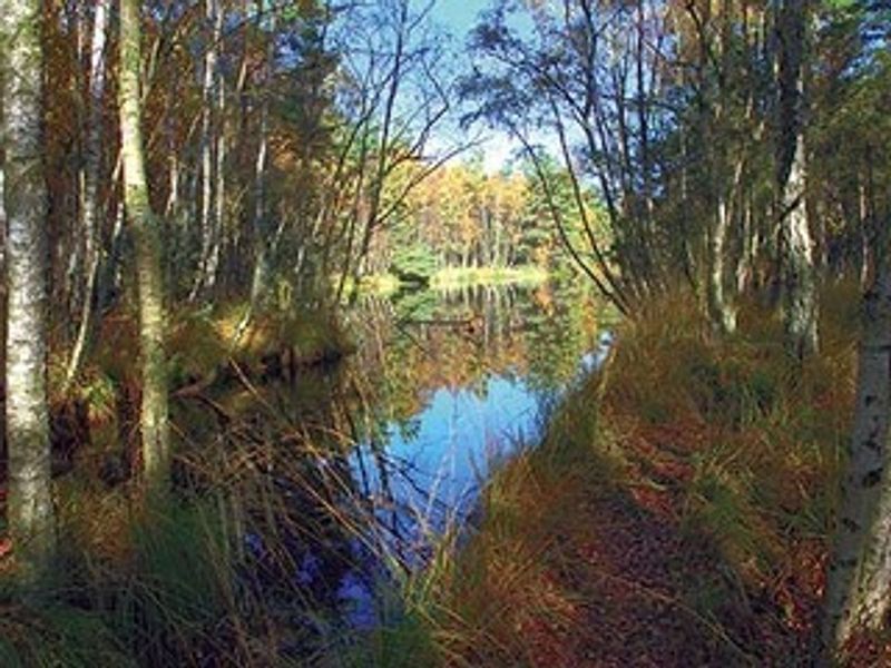 Schulungs- und Informationszentrum "Wald und Moor"