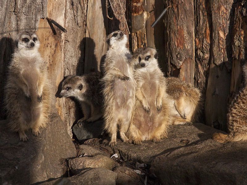 Tierpark Greifswald