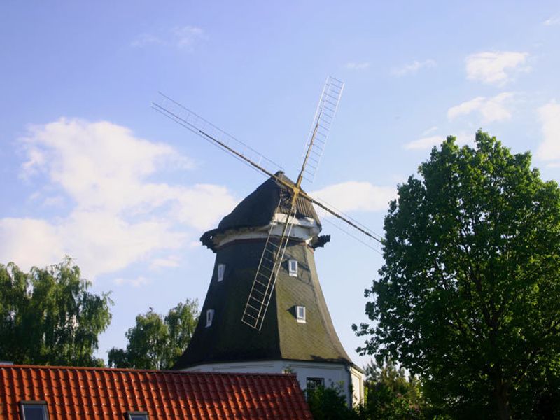 Galerieholländermühle in Graal-Müritz