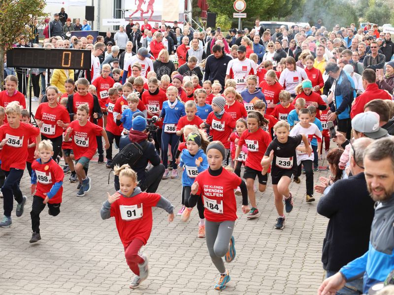 1/2km Kinderstrecke | © DRK KV MSP e.V. /M.Runge