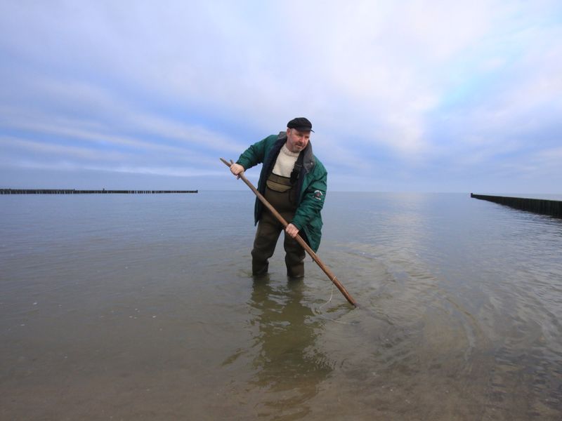 Geführte Bernsteinsuche am Strand mit Thomas Reich | © Bernsteinsuche