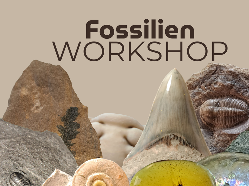 Fossiliensammlerworkshop IMX (1) | © Ronald Klafack