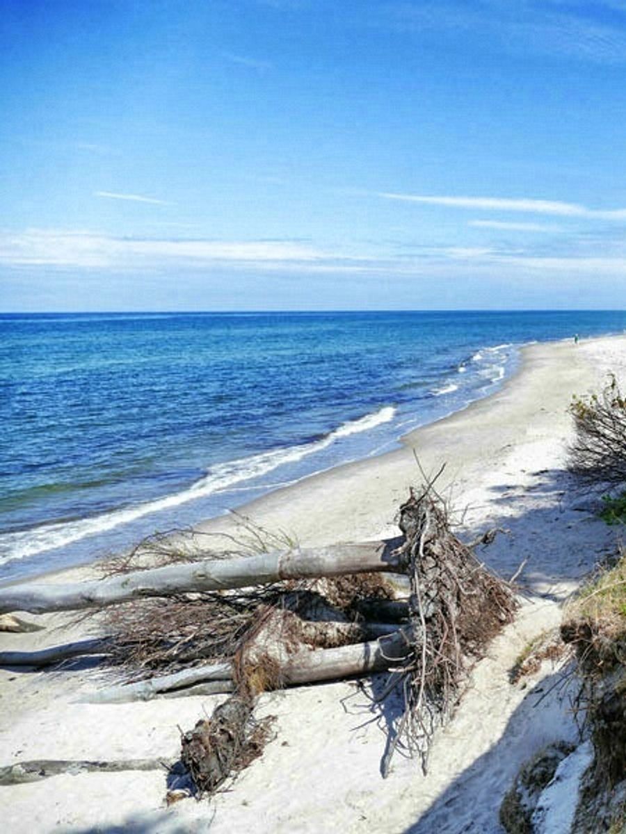 Darßer Weststrand bei Prerow