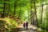 Spaziergang im Wald | © eyetronic - stock.adobe.com