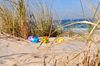 Ostereier in den Dünen der Ostsee | © textag - stock.adobe.com