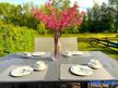 Sansibar on Poel, quite place, Sauna& Fireplace and only 700m to ...