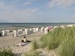 Strand Schwarzer Busch