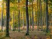 Wandertour zum Arboretum Erbsland