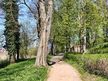 Engelscher Garten