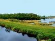 Aussichtspunkt Dütschower Brücke