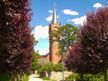 Stadtkirche Feldberg