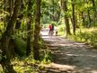 Rostocker Heide