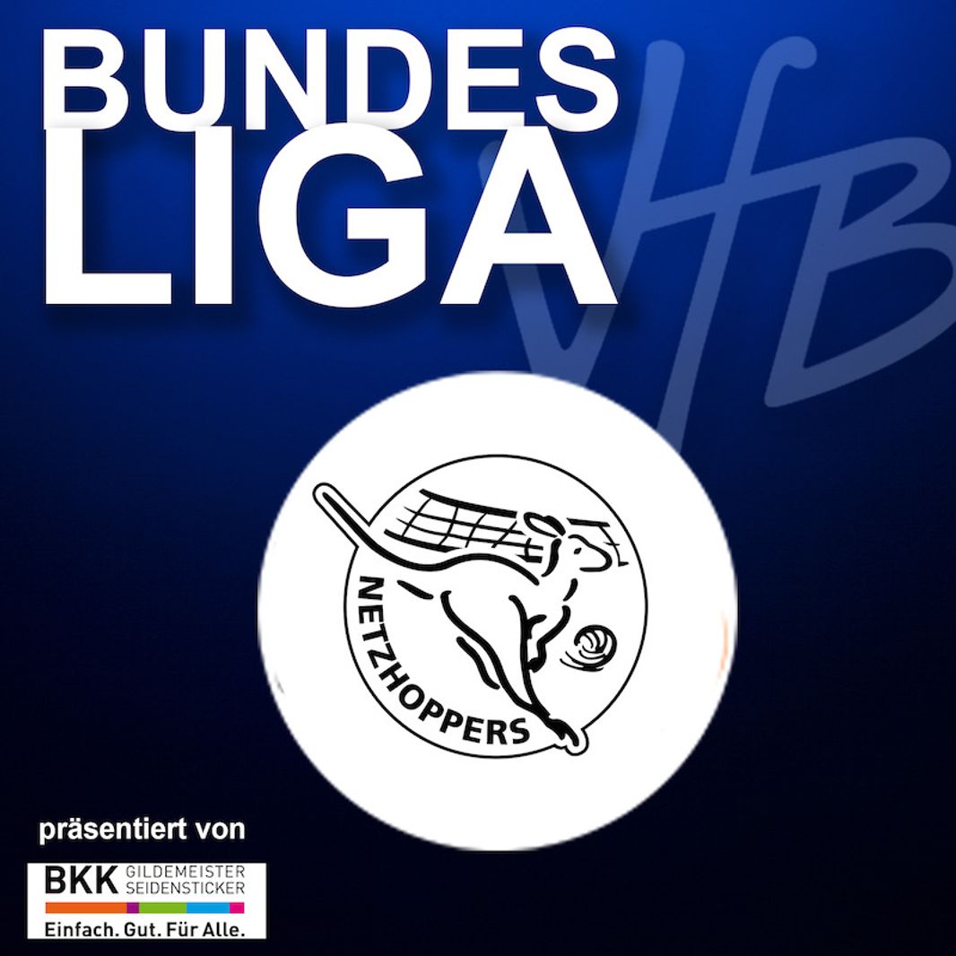 VfB