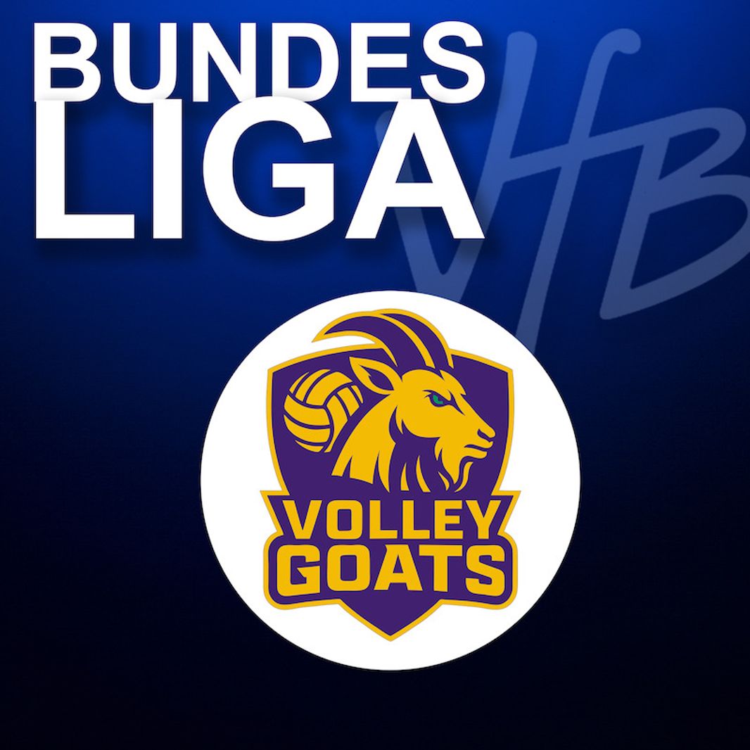VfB