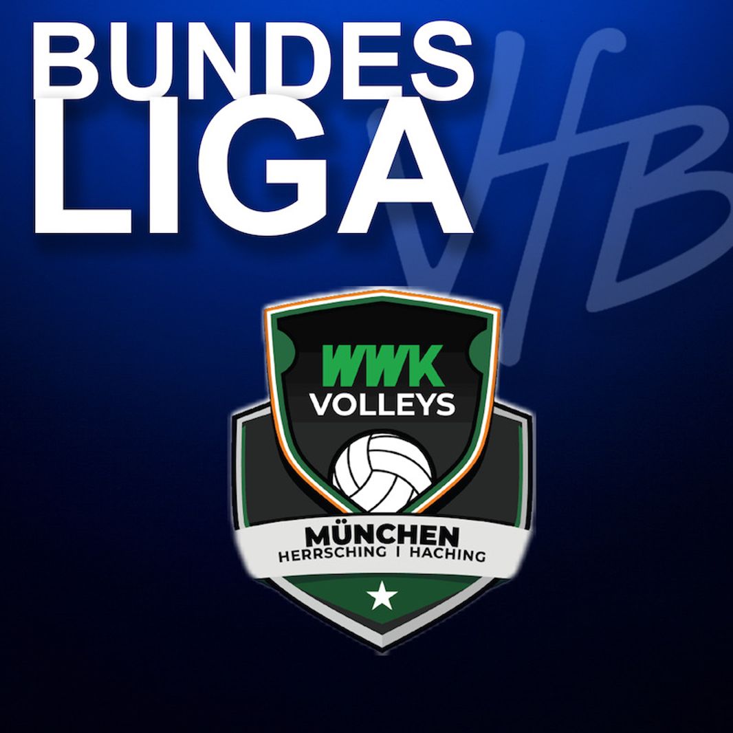 VfB