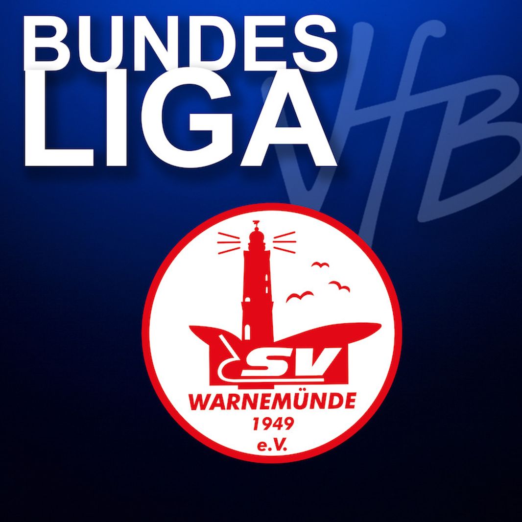 VfB